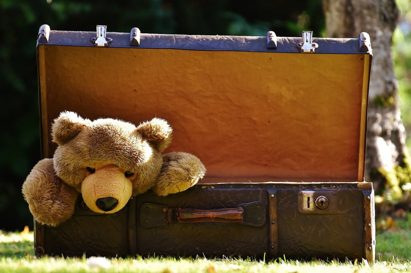 Travel Suitcase